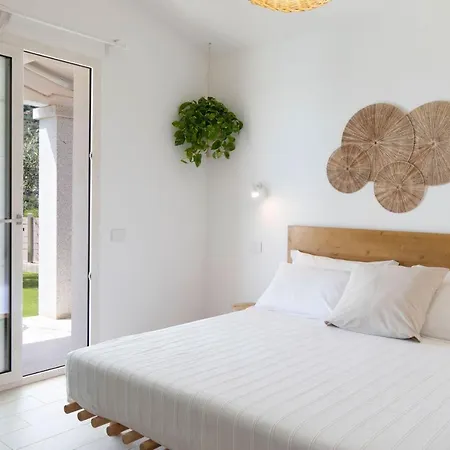 Aura קוסטה ריי