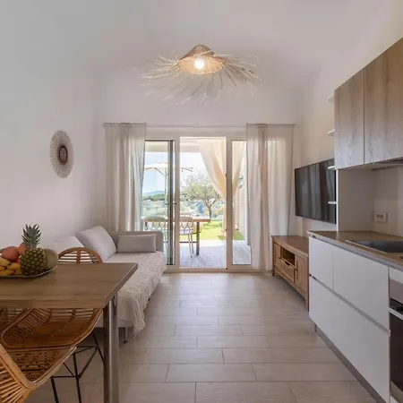 Aura קוסטה ריי